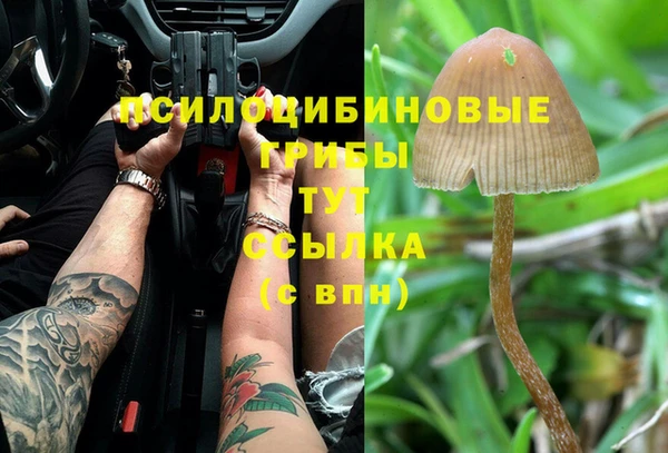 молекула духа Волоколамск