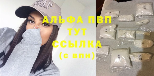 молекула духа Волоколамск