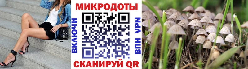 кракен как зайти  Данилов  Псилоцибиновые грибы Psilocybe  купить наркотик 